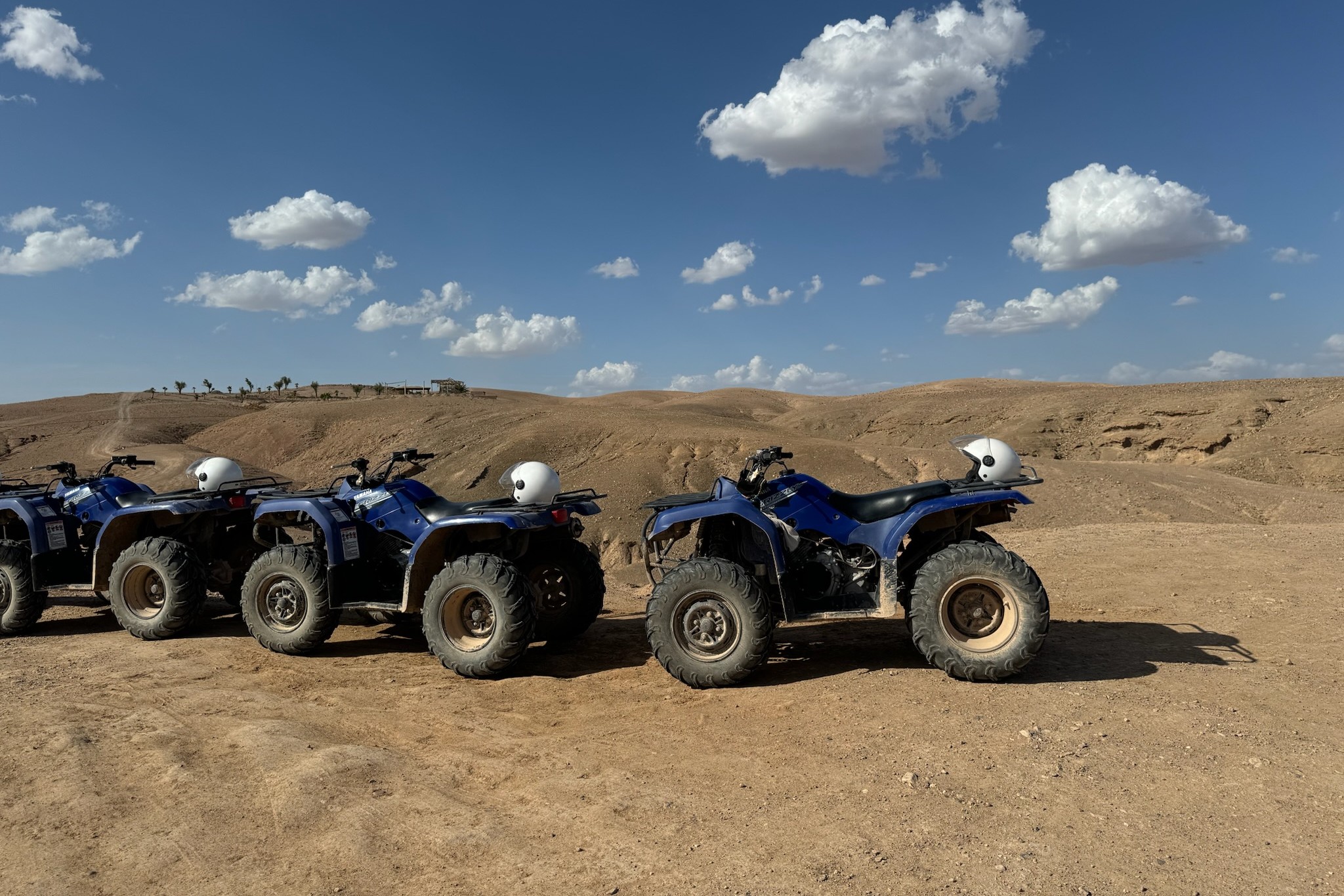 Adventure activity near Marrakech